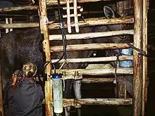 Traite d'élan en salle de traite, Russie, 2006