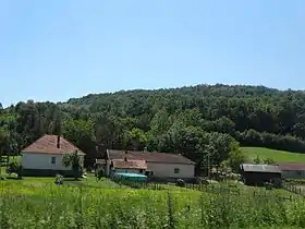Moravci