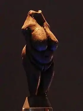 Image illustrative de l’article Vénus de Moravany