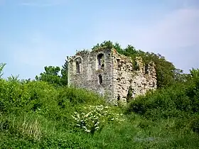 Butte de Montmélian