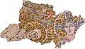 Fragment de mosaïque.