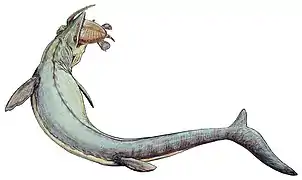 Vue d'artiste d'un long reptile attrapant une tortue des mers sur fond blanc.