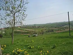 Pobjenik