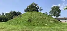 Vestiges de la motte castrale de Saint-Cyr, un dôme de terre entouré de quelques arbres.