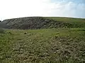 Motte médiévale de Nids.