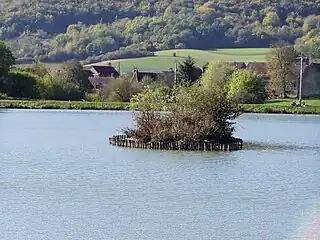 Étang du Moulin.