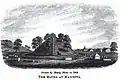 Dessin du Conus au cimetière de Mound, 1846.