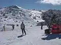 Mount Blue Cow
