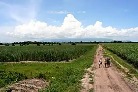 Vue de l'île Negros avec le volcan Kanla-on dans le lointain