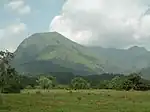 Replat sur les coteaux du mont Nimba, avec des termitières ou fourmilières (monticules ocres).