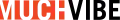 Logo de MuchVibe de 2011 à 2016
