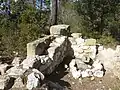 mur de la « tour carrée » de l'Oppidum du Castellar ; ce détail permet de mieux comprendre la construction de ce mur (parements extérieur et intérieur) : pas de doublage intérieur du mur en pierre de taille, faible espace au sol (de l'ordre de 10m²), traces de mortier, etc.) ;