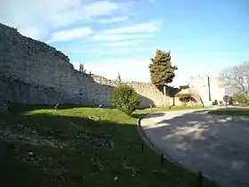 Olèrdola