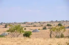 Plateau aride des Murge à Ruvo di Puglia.