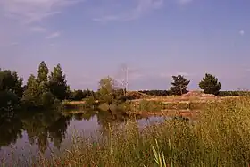Murzynowo Leśne