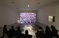 Projection d'une vidéo.