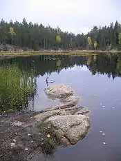 L'étang Mustalampi.