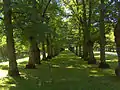 Parc de la Cour d'appel.