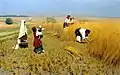 Mykola Pymonenko : Moisson en Ukraine, 1896