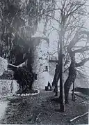 Vue ancienne de la tour d'un château contre une paroi rocheuse, avec une cour plantée de quelques arbres à l'avant.