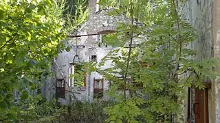 Intérieur du premier étage, dépourvu de toit et envahi par la végétation.