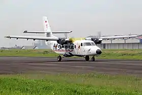 Vue de l'avion.