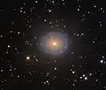 NGC 7217 par Adam Block (Observatoire du mont Lemmon/Université de l'Arizona).
