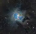 Autre photographie de NGC 7023 par un astronome amateur (Aurélien LEPANOT).