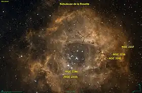 Image illustrative de l’article Nébuleuse de la Rosette