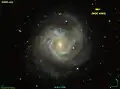 M61 image provenant du relevé SDSS.