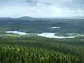 Forêt boréale du parc national de Terra Nova, centre de Terre-Neuve (vue depuis Ochre Hill).