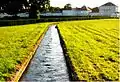 Un bras du canal