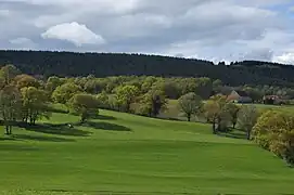 Vallée à l'est de Noyant-d'Allier.