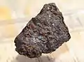 NWA 2625, une uréilite. Masse : 250 g.