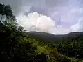Vue du Nagisan depuis le milieu de la montagne.