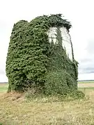 Ruines du moulin.