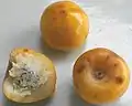 Fruit de Byrsonima crassifolia