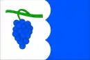 Drapeau de Násedlovice