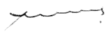 Signature de Salvador Nasralla