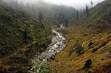 Vallon encaissé avec une végétation essentiellement arbustive au milieu duquel s'écoule un torrent.
