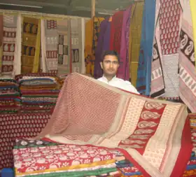 Bagh