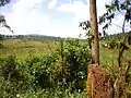 Paysage à Kayanza