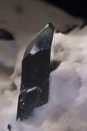 Image illustrative de l’article Neptunite