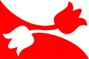 Drapeau de Nes