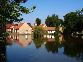 Nesuchyně
