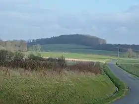 Vroil