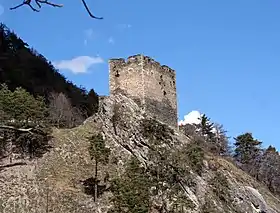 Image illustrative de l’article Château de Neuburg