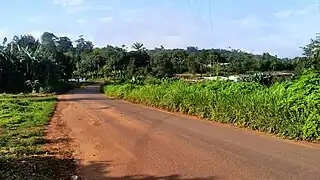 Entrée de Ngoya