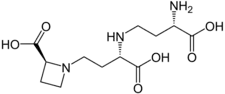 formule développée de la nicotianamine