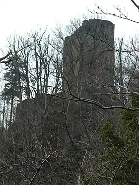 Image illustrative de l’article Château du Nideck